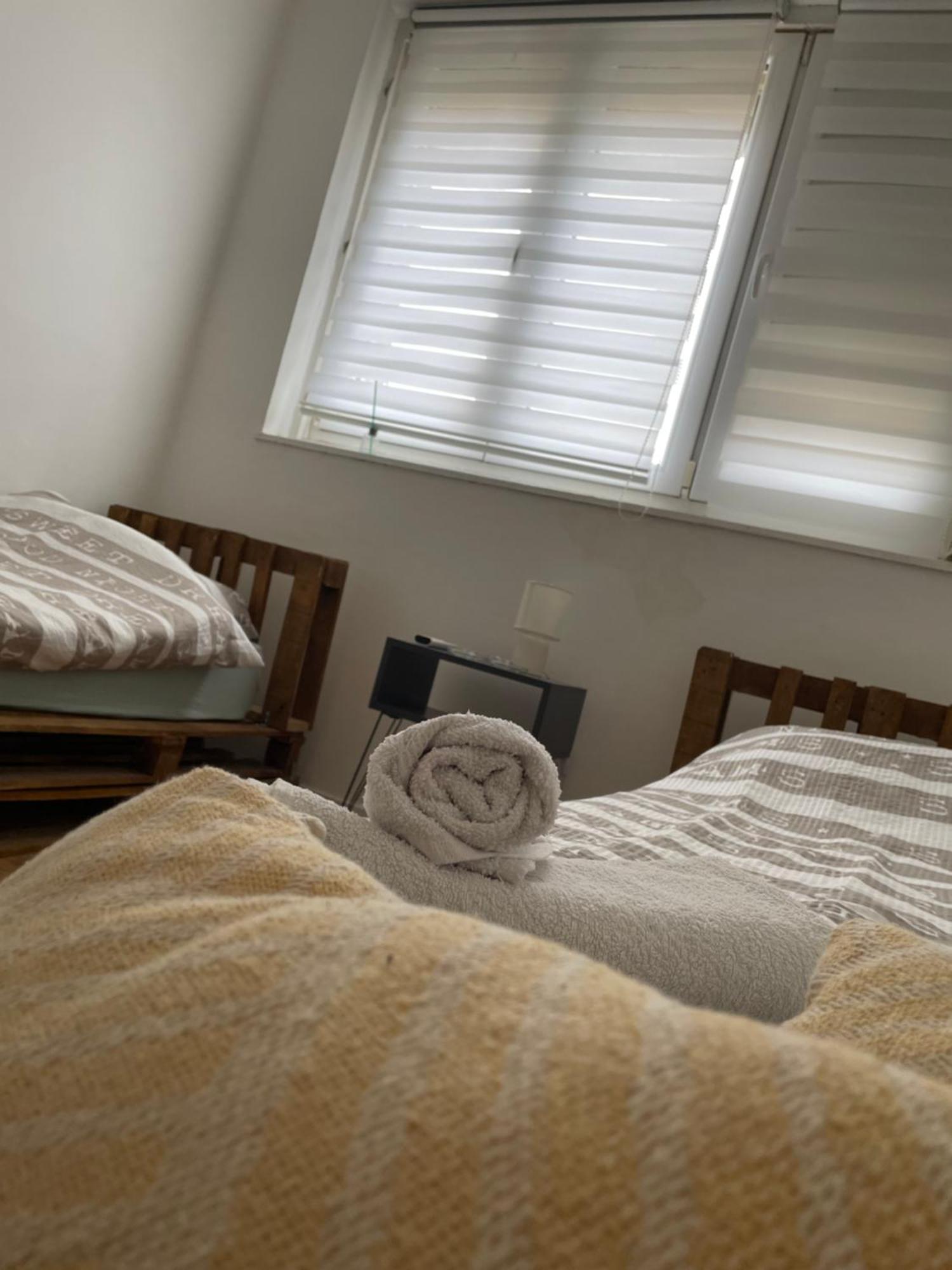 Fenix Apartman II Zajecar Luaran gambar